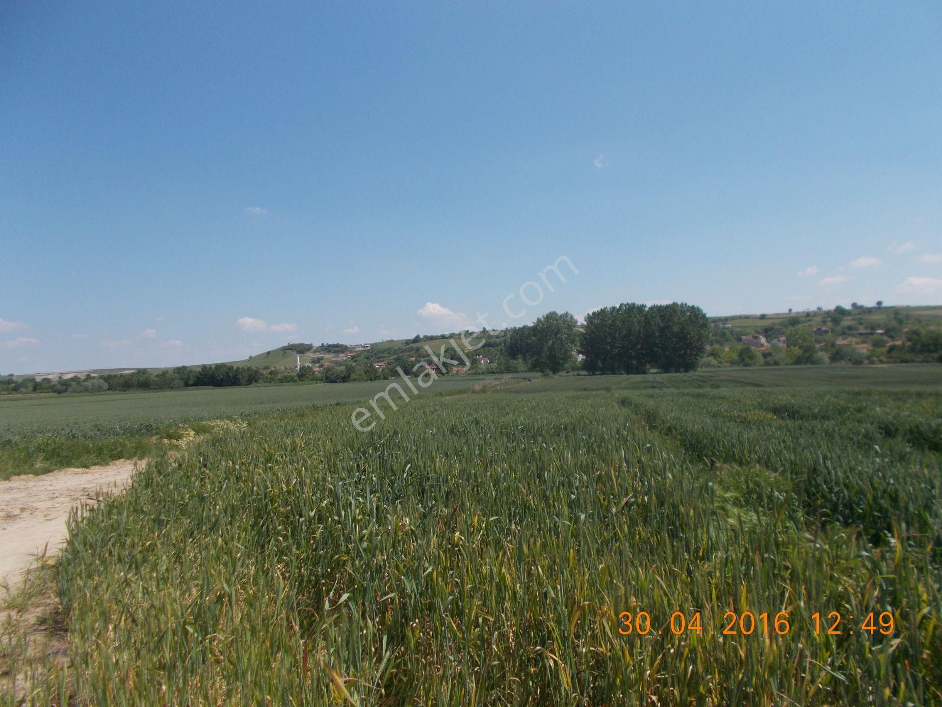 Edirne Merkez Üyüklütatar Köyü Satılık Tarla Höyüklütatar Köyünde 5026 M2 Satılık Tarla