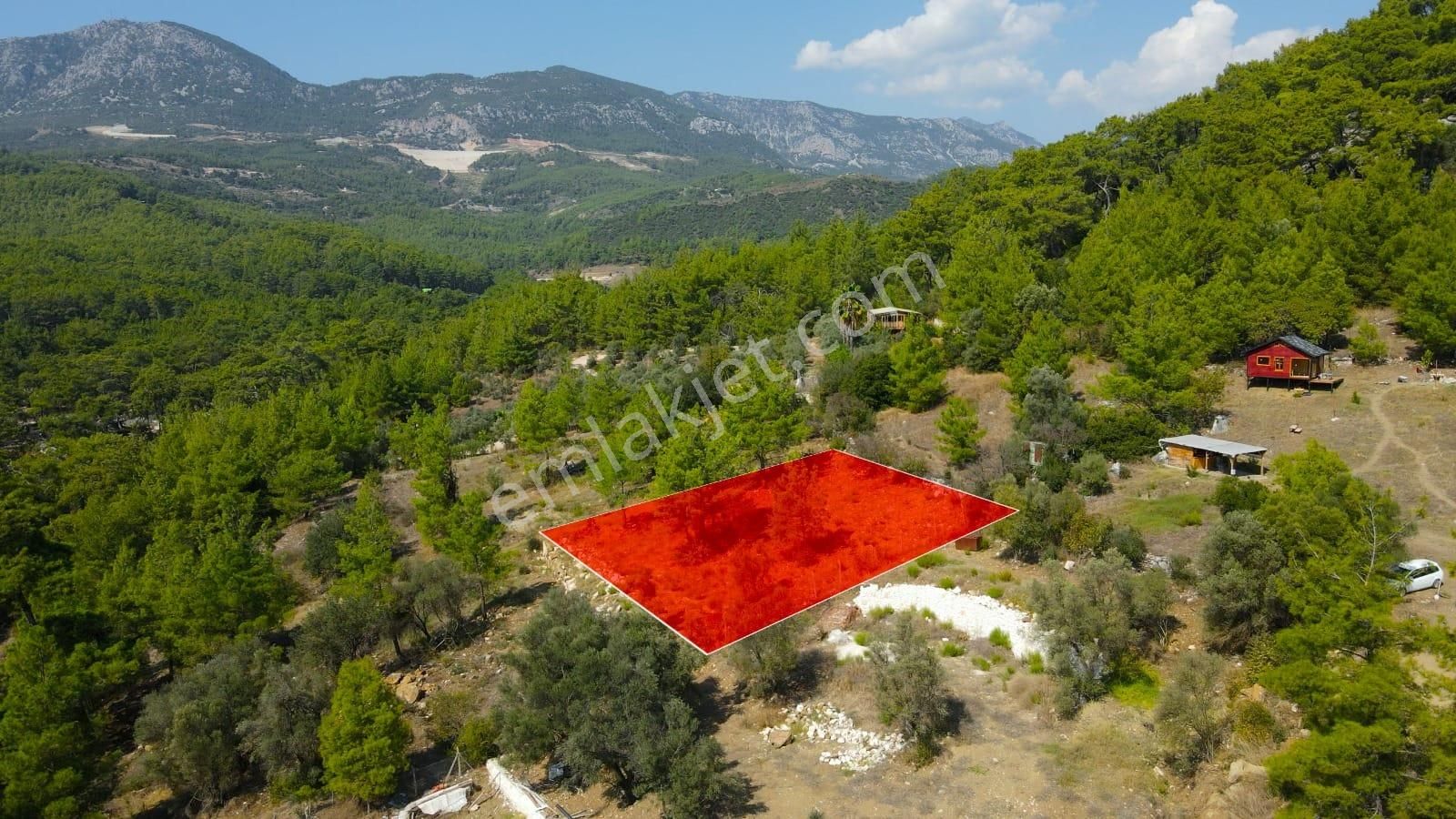 Kumluca Yazır Satılık Tarla  arkadaş inşaat emlaktan  kumluca olimpos  turizm cennetin de satılık tarla