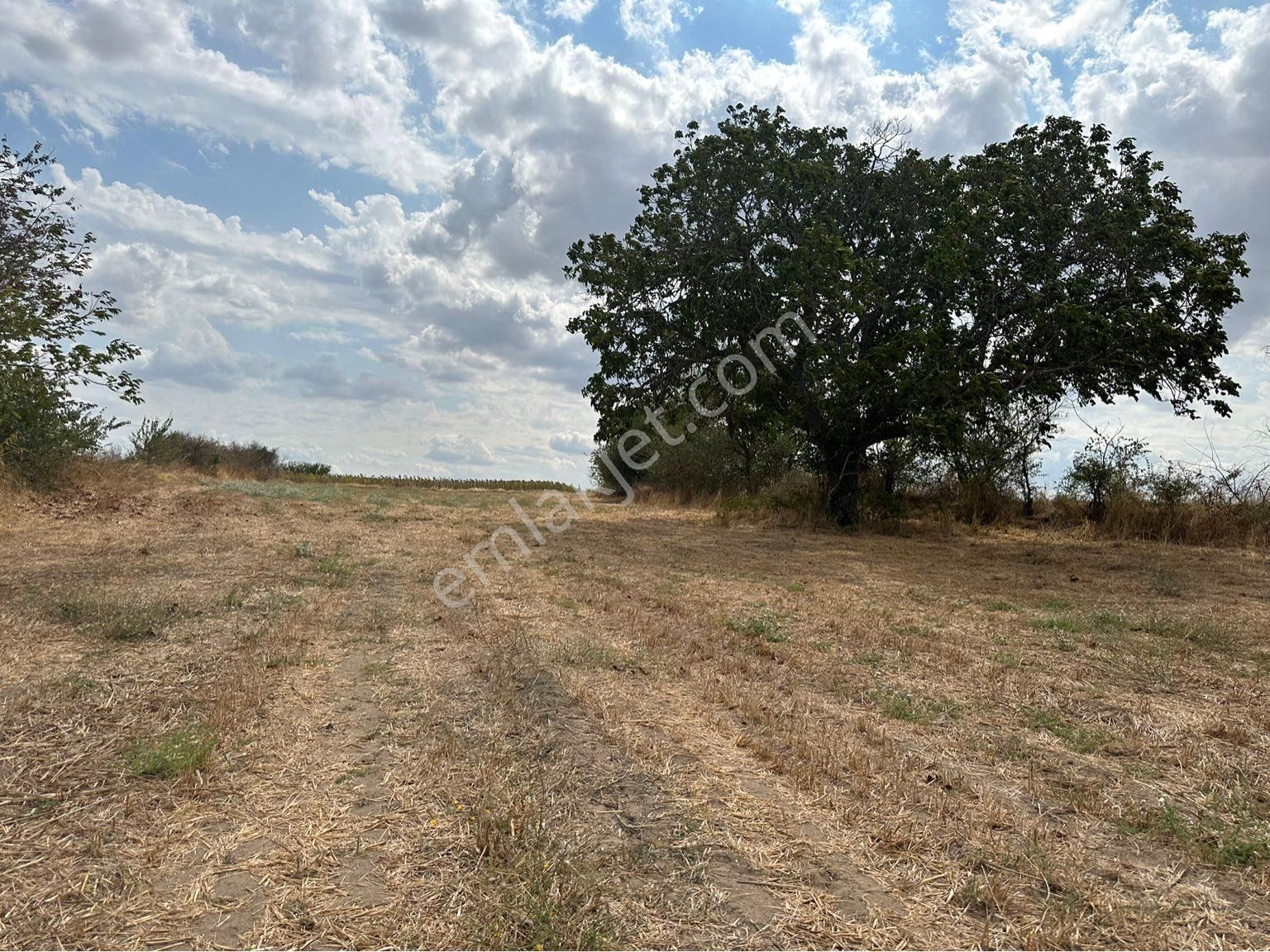 Havsa Şerbettar Köyü Satılık Bağ & Bahçe Edirne havsa şerbettar köy 2200 m2 bağ tapu