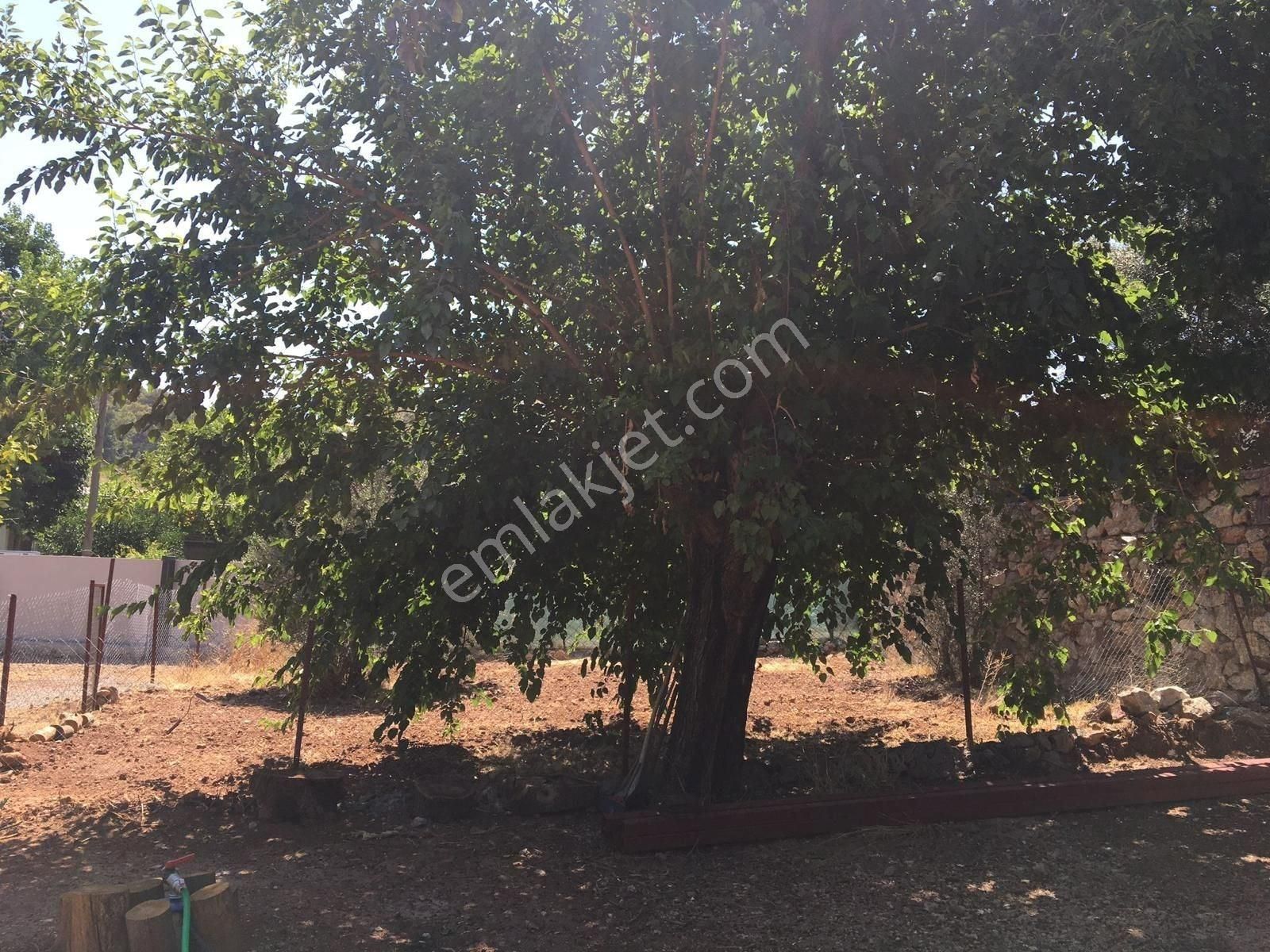 Muğla Ortaca Gökbel Mh 2+1 Eşyalı Kiralık Köy Evi - Görsel 8