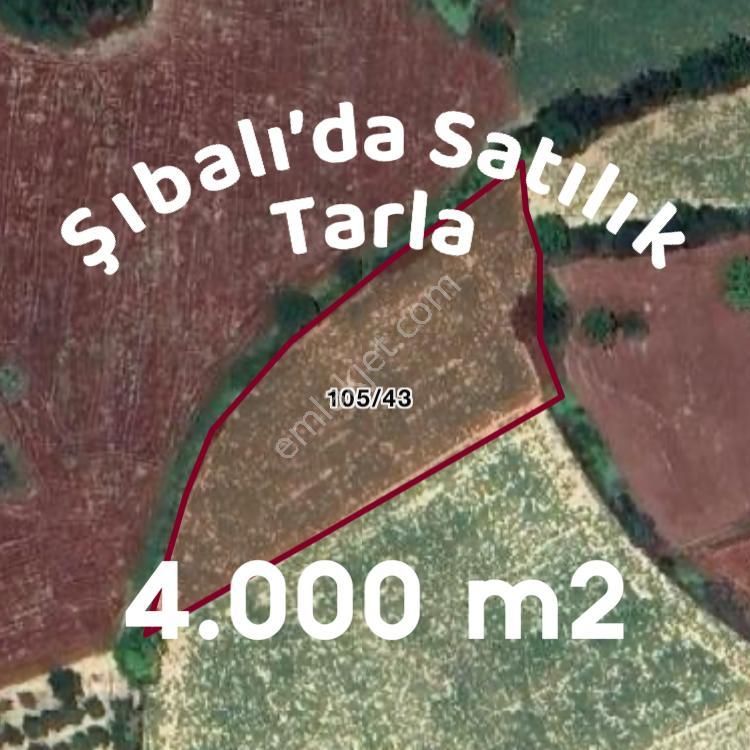 İnegöl Şipali Satılık Tarla  ALTINBAŞ EMLAK'TAN ŞIBALI'DA  SATILIK TARLA