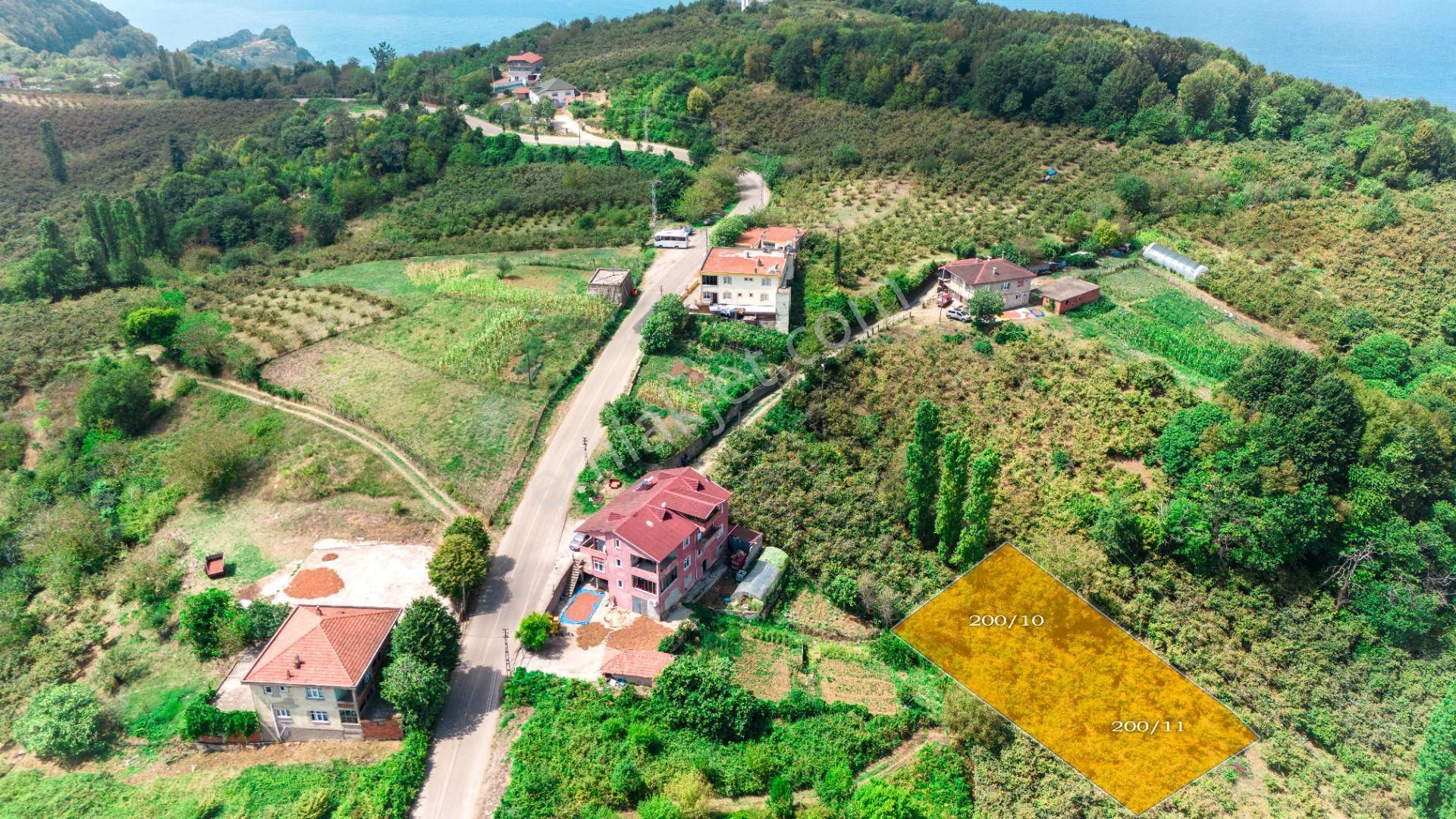 Bartın Merkez Güzelcehisar Köyü (Kapaklı) Satılık Tarla  TURKUAZDAN GÜZELCEHİSAR KÖYÜNDE FIRSAT 2 ADET TARLA