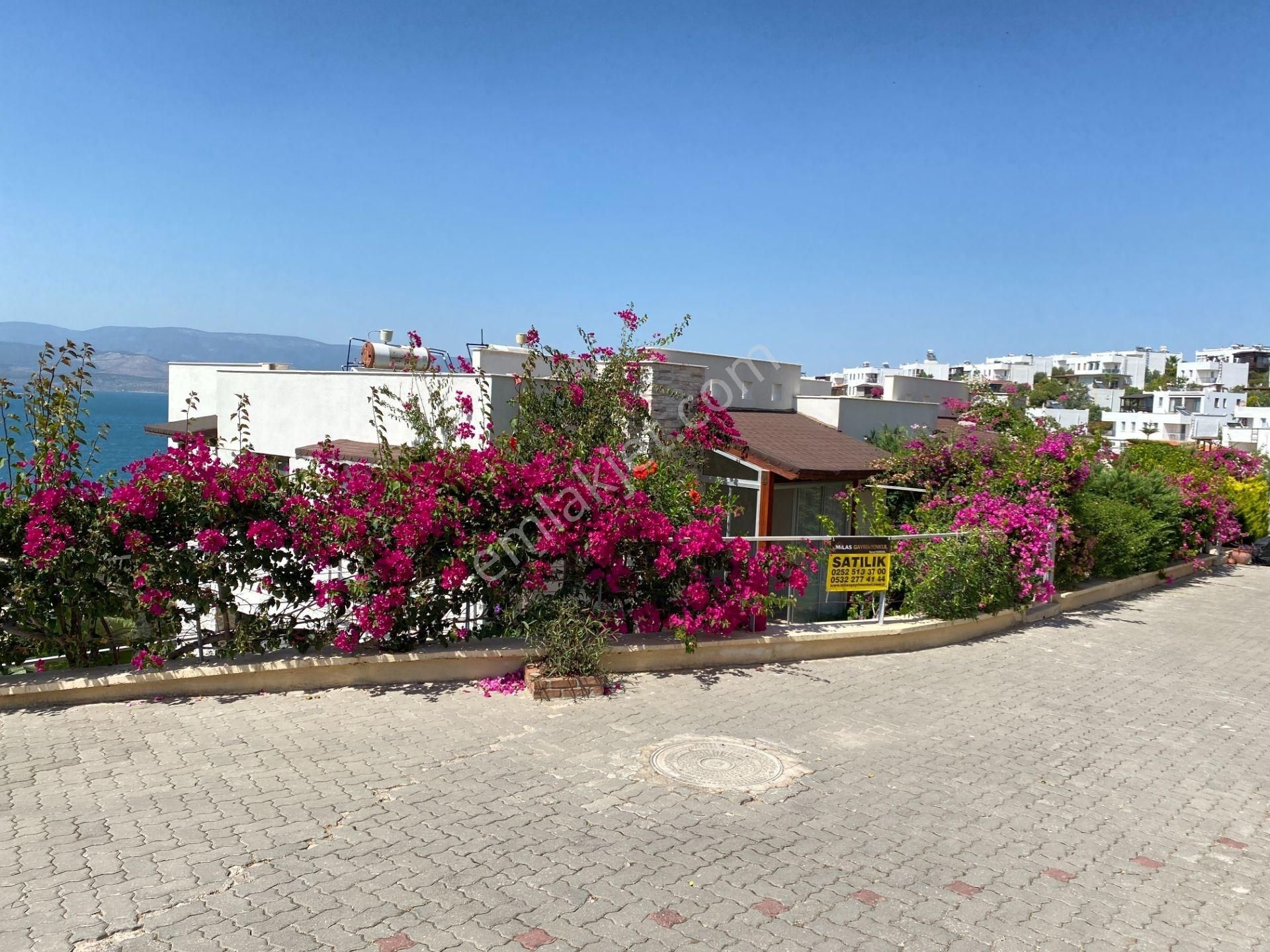 Milas Boğaziçi Adabükü'nde Kesintisiz Full Deniz Manzaralı Daire - Görsel 11
