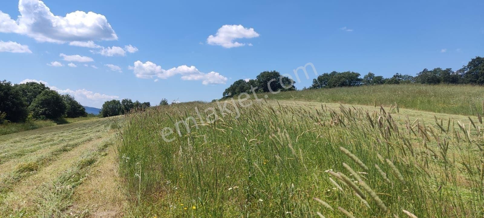 Lapseki Eçialan Köyü Satılık Tarla Çanakkale Lapseki de Düz, Sulak, verimli Tarla 44200m2