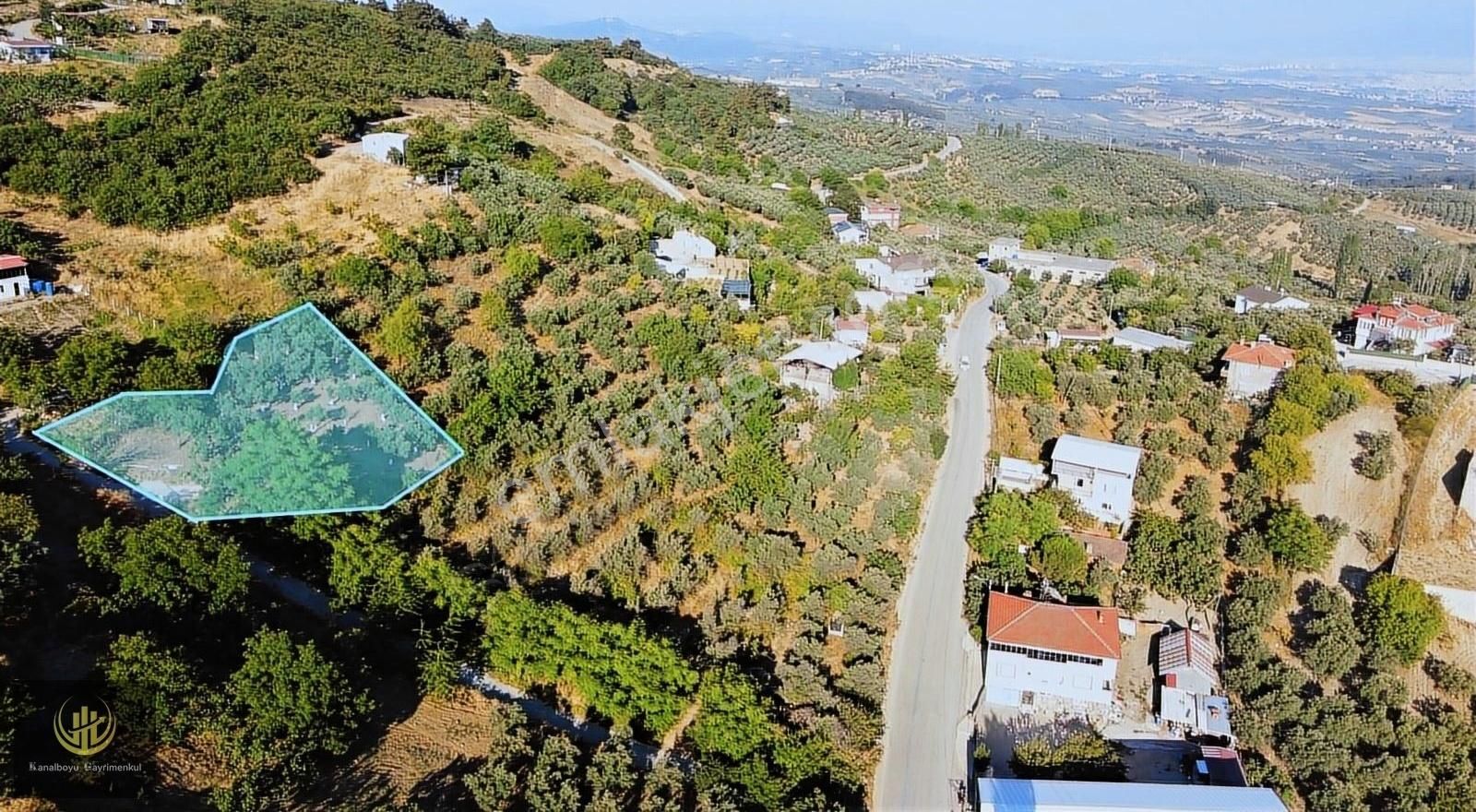 Mudanya İpekyayla Satılık Zeytinlik MUDANYA/ İPEKYAYLA 'DA BURSA MANZARALI MÜKEMMEL KONUMDA ARAZİ