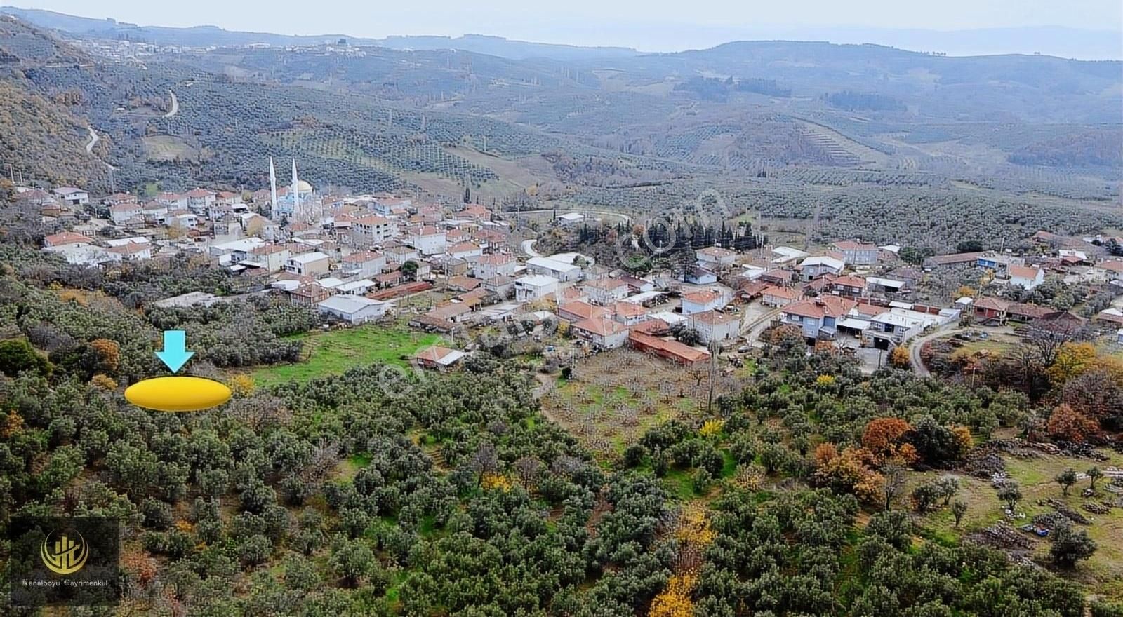 Mudanya Kaymakoba Satılık Zeytinlik KAYMAKOBA 'DA KÖYÜN İÇİNDE KALAN YATIRIMLIK FIRSAT