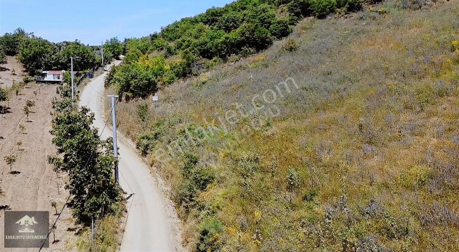 Mudanya Çepni Satılık Zeytinlik ÇEPNİ /DÜZBAĞLAR 'DA ELEKTRİK ÖNÜNDEN GEÇEN, KADASTRO YOLA CEPHE