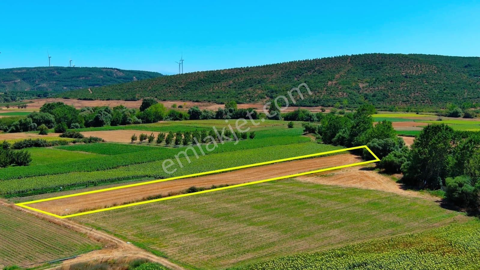 Karacabey Çeşnigir Satılık Tarla Karacabey Çeşnigir De 1742 Metrekare Yatırımlık Tarla