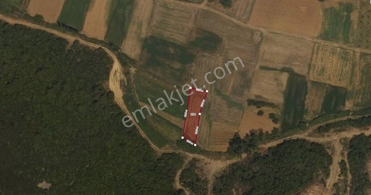 Sahibinden Mecidiye'de Tek Tapu Fırsat Arazi - Görsel 14