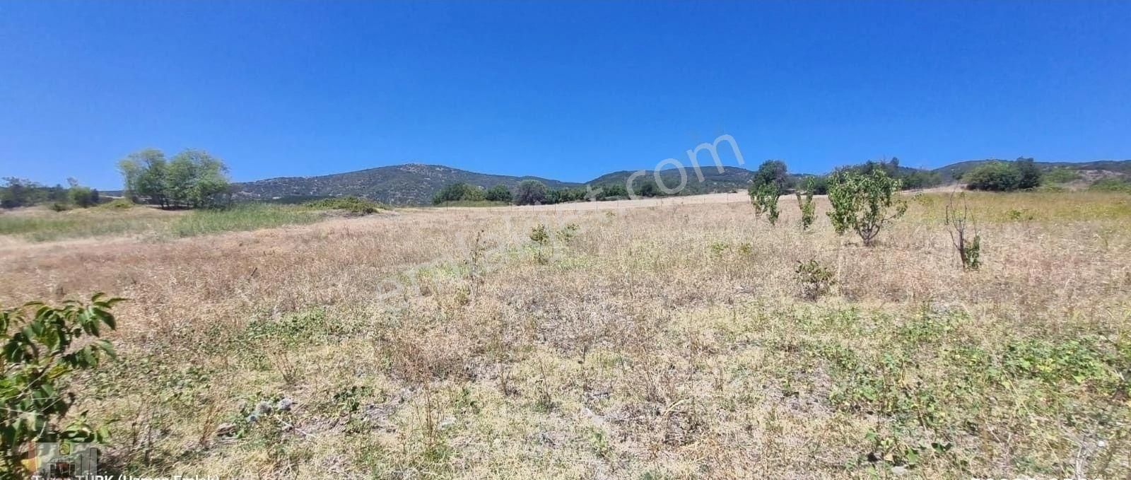 Kömeç Köyünde 2900 M² Lik Hisseli Tarla - Görsel 10