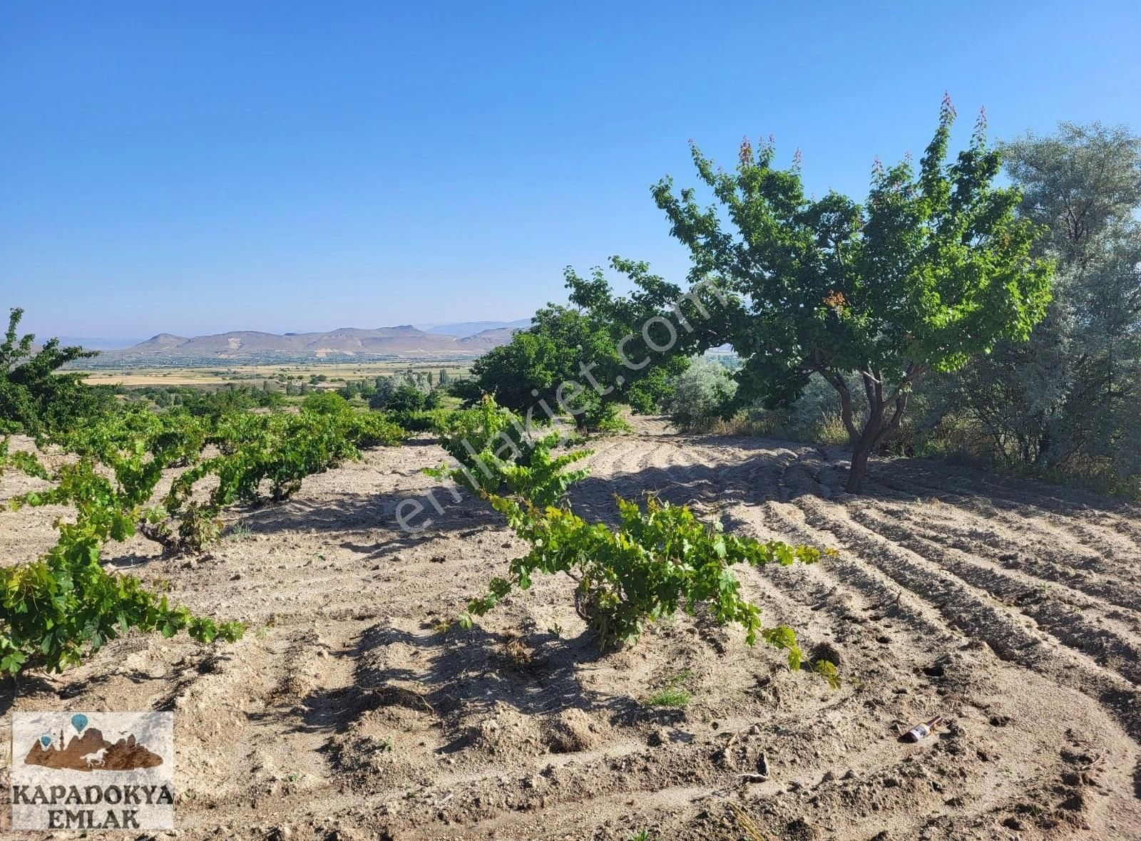 Nevşehir Merkez Uçhisar Bld. (Tekelli) Satılık Bağ & Bahçe Kapadokya 13514 parsel 3520m2