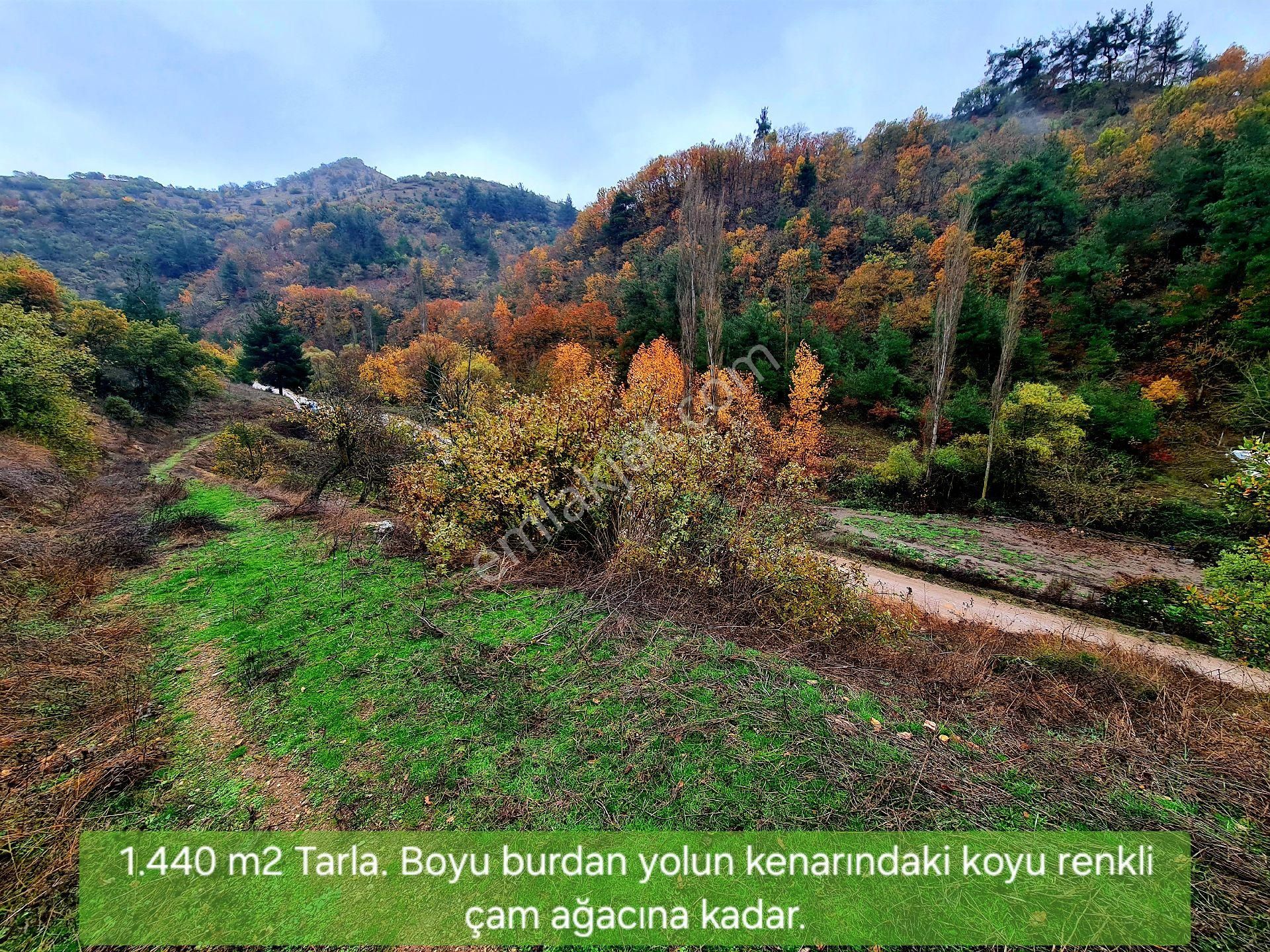 Sındırgı Osmanlar Satılık Tarla Balıkesir Sındırgı Osmanlar'da 1.440 M2 Asfalt Yola Cepheli Kupon Tarla. Açıklamayı Okuyup Arayınız