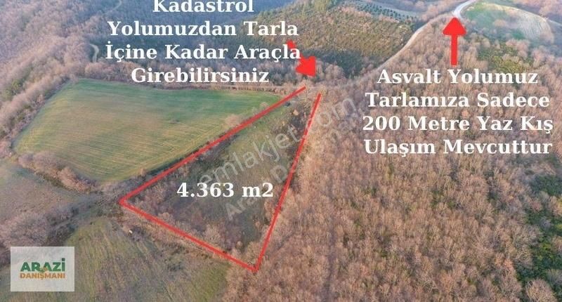 Biga Sarısıvat Köyü Satılık Tarla Çanakkale Biga Sarısıvat Köyü 4.363 m2 Tarla