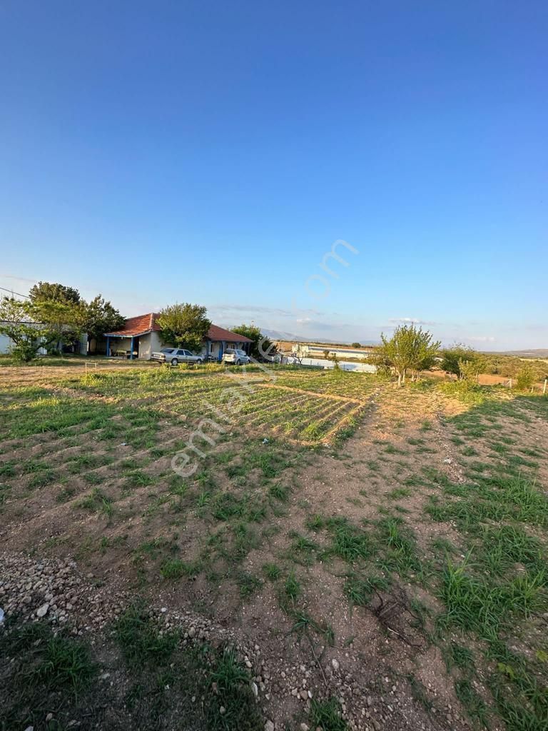 Uşak Karahanlı Yeni Mahallede Hayvancılık Ruhsatı Alınmış Çiftlik - Görsel 33