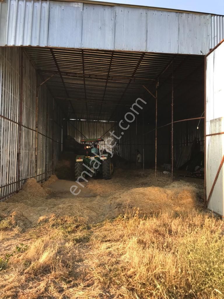 Uşak Karahanlı Yeni Mahallede Hayvancılık Ruhsatı Alınmış Çiftlik - Görsel 12