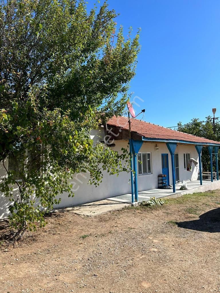 Uşak Karahanlı Yeni Mahallede Hayvancılık Ruhsatı Alınmış Çiftlik - Görsel 16