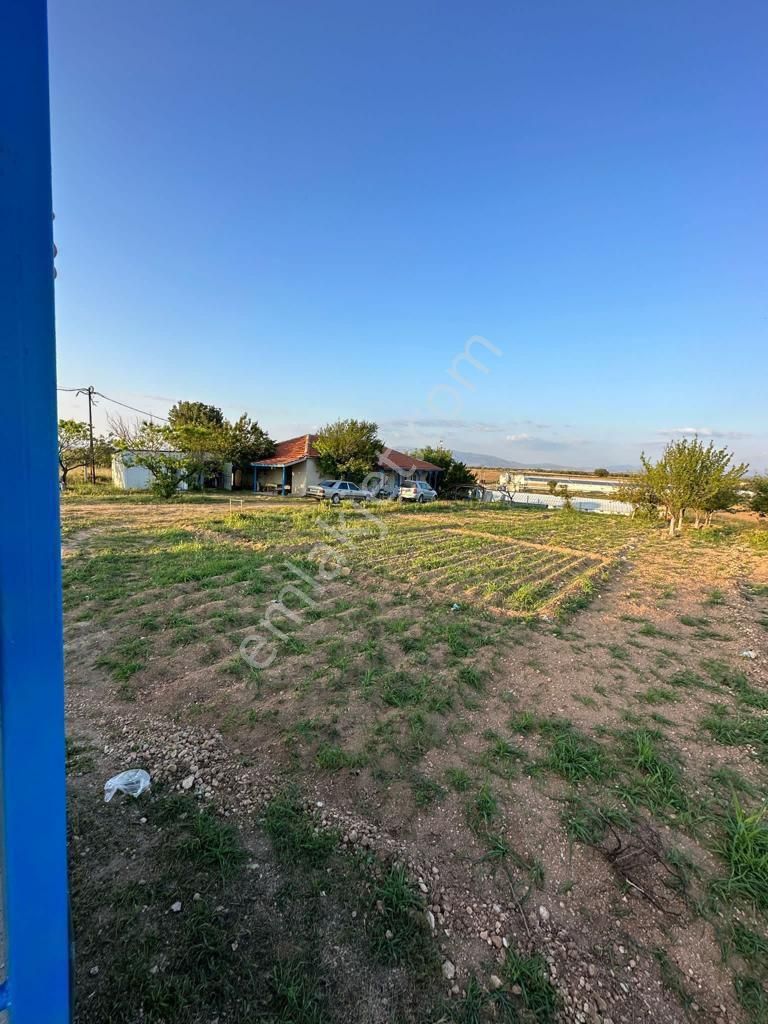 Uşak Karahanlı Yeni Mahallede Hayvancılık Ruhsatı Alınmış Çiftlik - Görsel 15