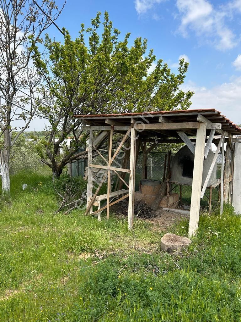 Uşak Karahanlı Yeni Mahallede Hayvancılık Ruhsatı Alınmış Çiftlik - Görsel 10