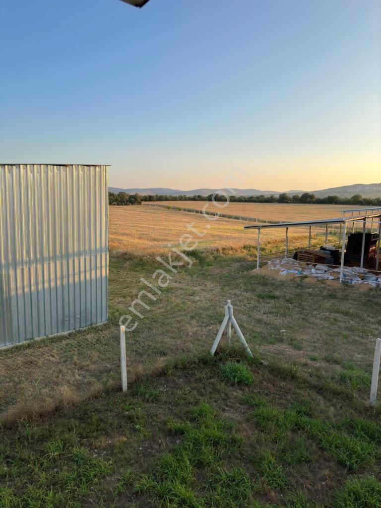 Uşak Karahanlı Yeni Mahallede Hayvancılık Ruhsatı Alınmış Çiftlik - Görsel 25