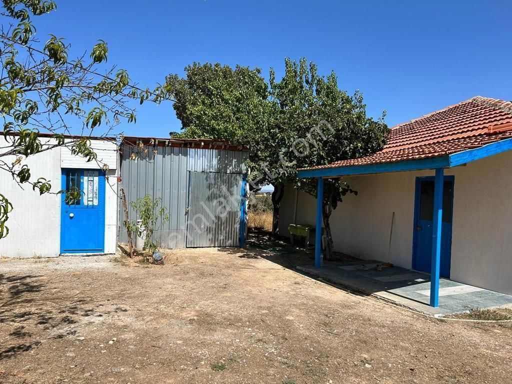 Uşak Karahanlı Yeni Mahallede Hayvancılık Ruhsatı Alınmış Çiftlik - Görsel 20