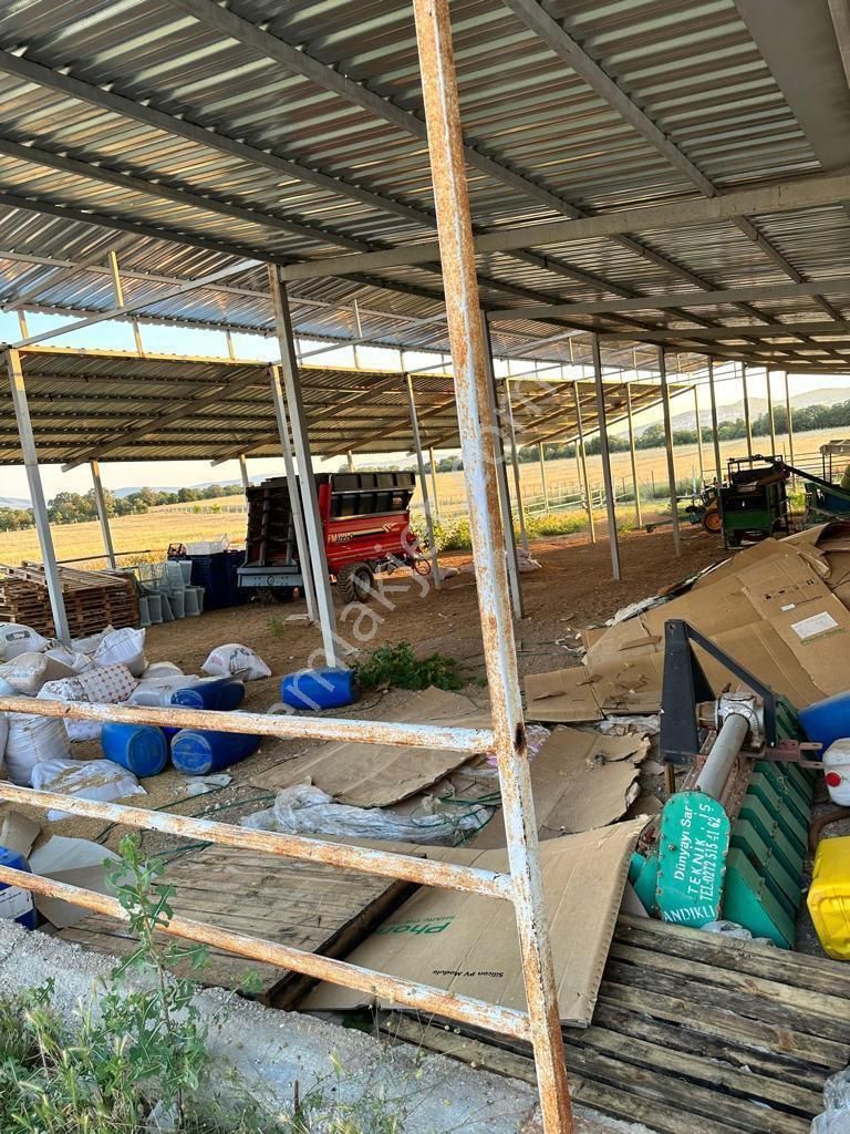 Uşak Karahanlı Yeni Mahallede Hayvancılık Ruhsatı Alınmış Çiftlik - Görsel 24