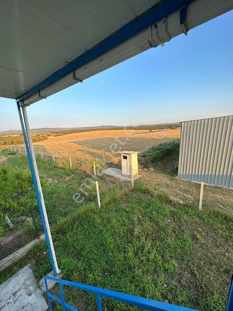 Uşak Karahanlı Yeni Mahallede Hayvancılık Ruhsatı Alınmış Çiftlik - Görsel 30