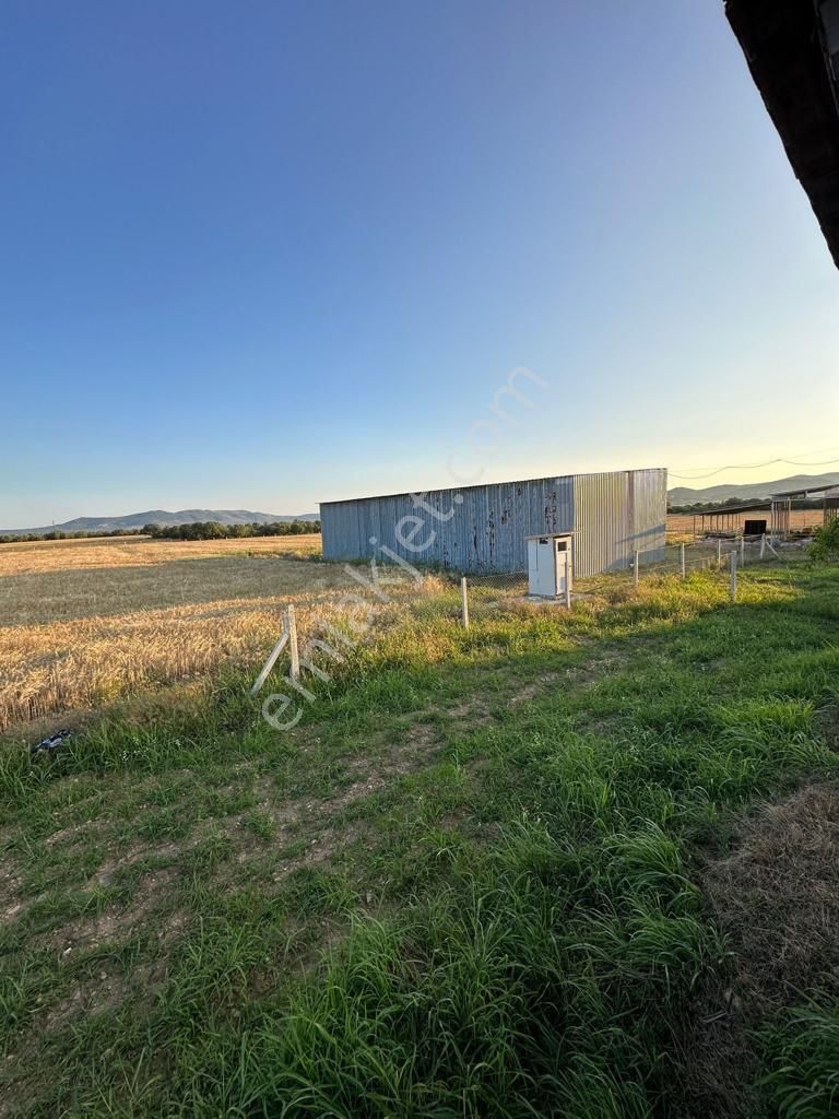 Uşak Karahanlı Yeni Mahallede Hayvancılık Ruhsatı Alınmış Çiftlik - Görsel 34