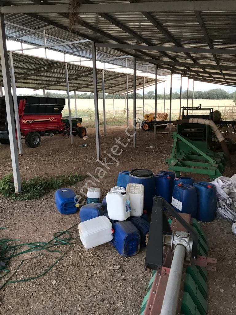 Uşak Karahanlı Yeni Mahallede Hayvancılık Ruhsatı Alınmış Çiftlik - Görsel 11