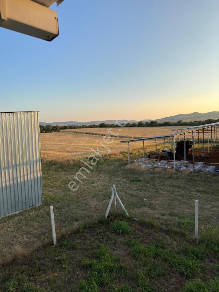 Uşak Karahanlı Yeni Mahallede Hayvancılık Ruhsatı Alınmış Çiftlik - Görsel 21