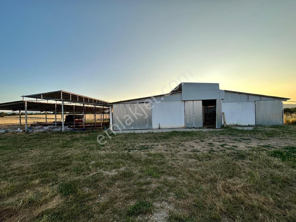 Uşak Karahanlı Yeni Mahallede Hayvancılık Ruhsatı Alınmış Çiftlik - Görsel 26