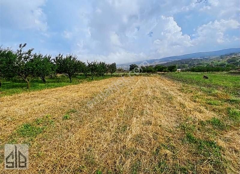 Geyve Akdoğan Satılık Bağ & Bahçe BÜYÜKDEMİR GAYRİMENKULDEN 335m2 İMARLI ARSAMIZ