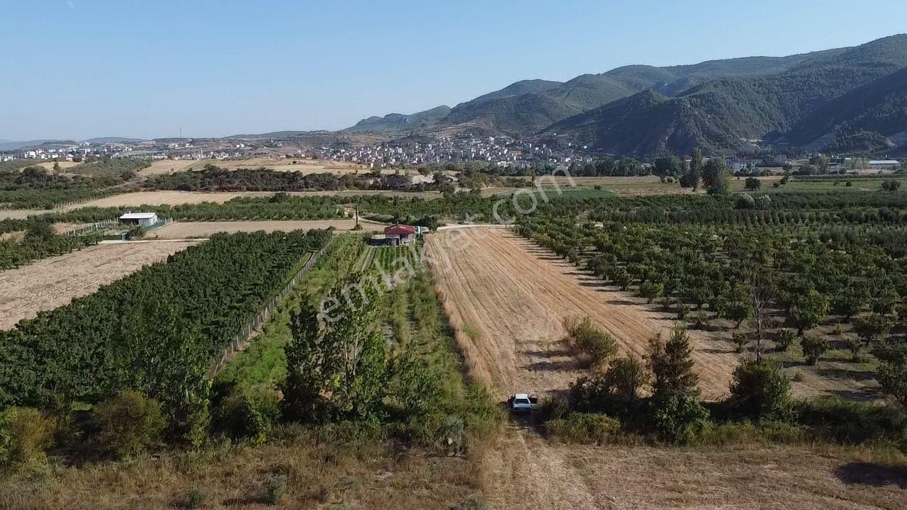 Osmaneli Selçik Köyü Satılık Tarla  OSMANELİ MERKEZE 2 KM MESAFEDE 951 M2 SATILIK TARLA 