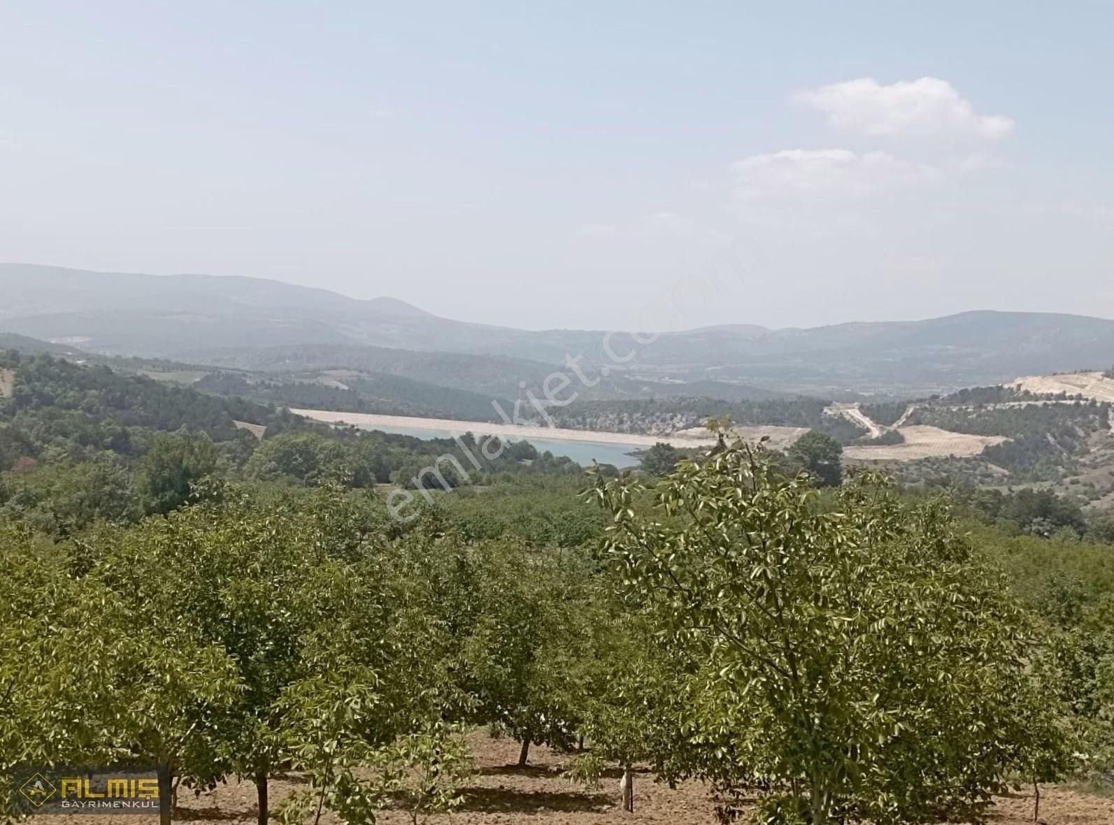 Gölpazarı Softalar Köyü (Neçinler) Satılık Tarla Fırsat Tarla Yola 2.parsel Cevizlik Baraj Manzaralı Köye Yakın