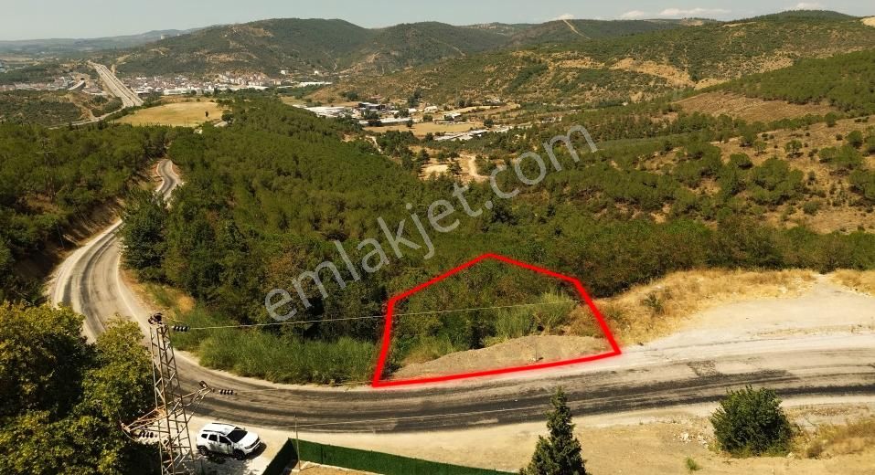 Osmangazi İsmetiye Satılık Zeytinlik   Avdancık'ta 338 m2 Manzaralı Bahçe