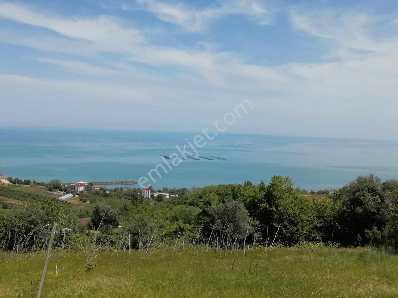 Akçaabat Darıca Satılık Konut İmarlı  TRABZON AKÇAABAT DARICA DA FULL MANZARALI İMARLI ARSA