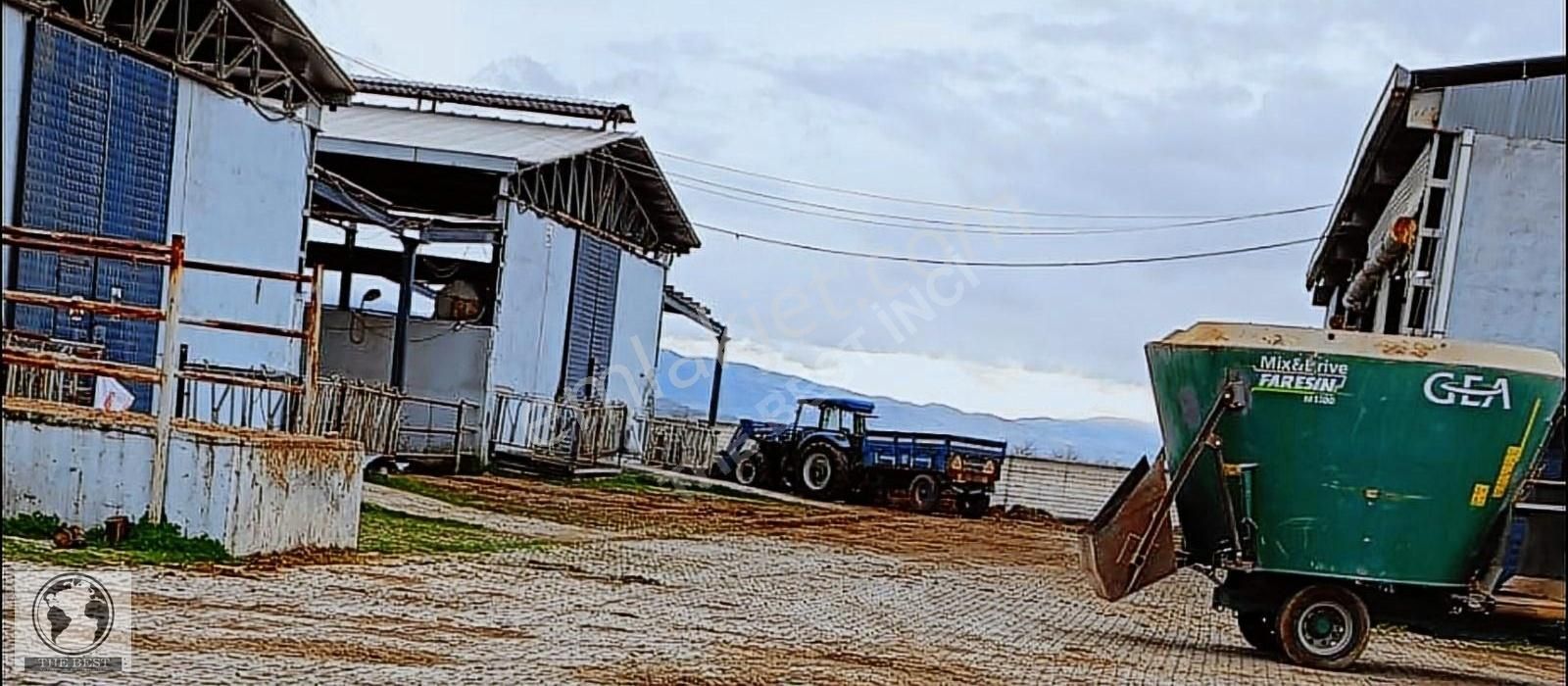 Elazığ Merkez Yurtbaşı Bld. (Org. Eşref Bitlis) Satılık Tarla THE BEST'DEN YURTBAŞINDA SATILIK MODERN ÇİFTLİK