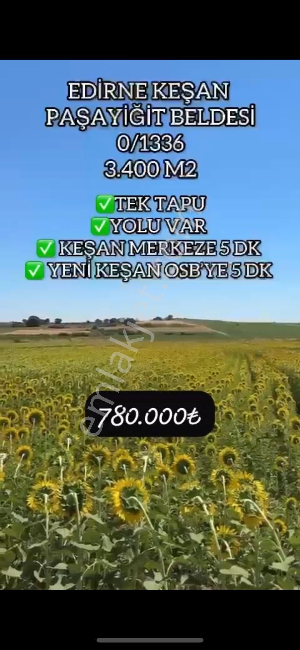 Keşan Paşayiğit Satılık Tarla Tek Tapu Yolu Var