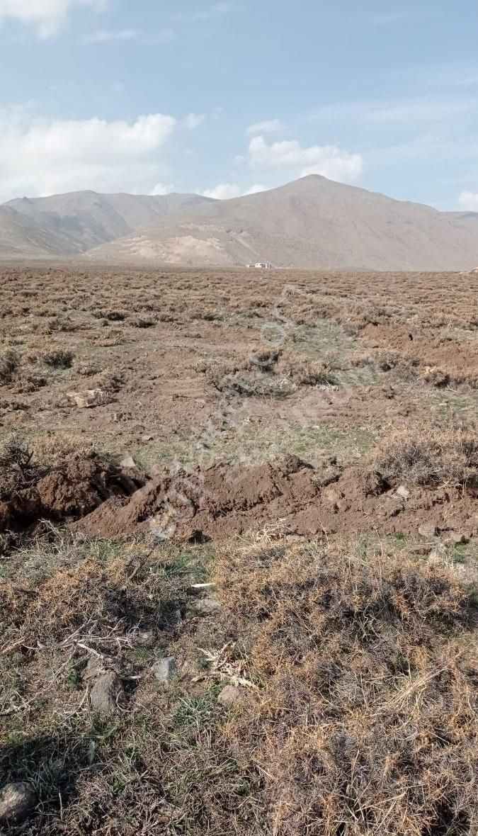 Palandöken Hüseyin Avni Ulaş Satılık Tarla LÜX ERZURUM'DAN YAKUTİYE'DE SATILIK 10 DÖNÜM TARLA