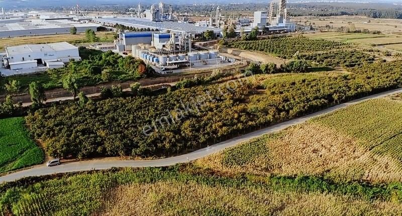 Hendek Puna Ortaköy Satılık Tarla Egemen Bozkurttan Sakarya 2.osb Genişleme Alanında Fırsat Tarla