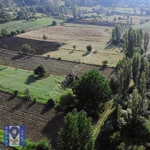 Mustafakemalpaşa Yavelli Satılık Tarla BURSA MUSTAFAKEMALPAŞA YAVELLİ'DE 3348 M2 SATILIK TARLA