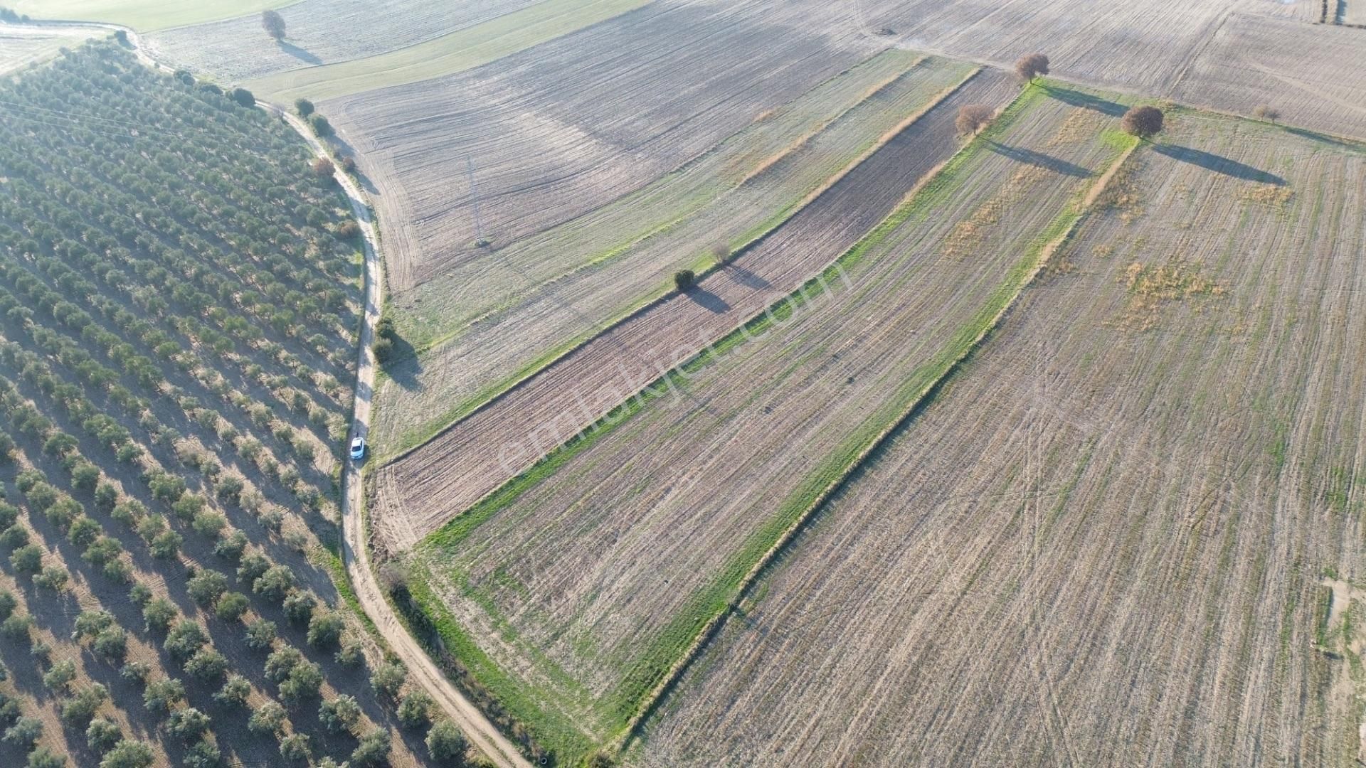 Çanakkale Merkez Halileli Köyünde Yatırımlık Değerli Mevkide 5507 M2 Tarla - Görsel 24