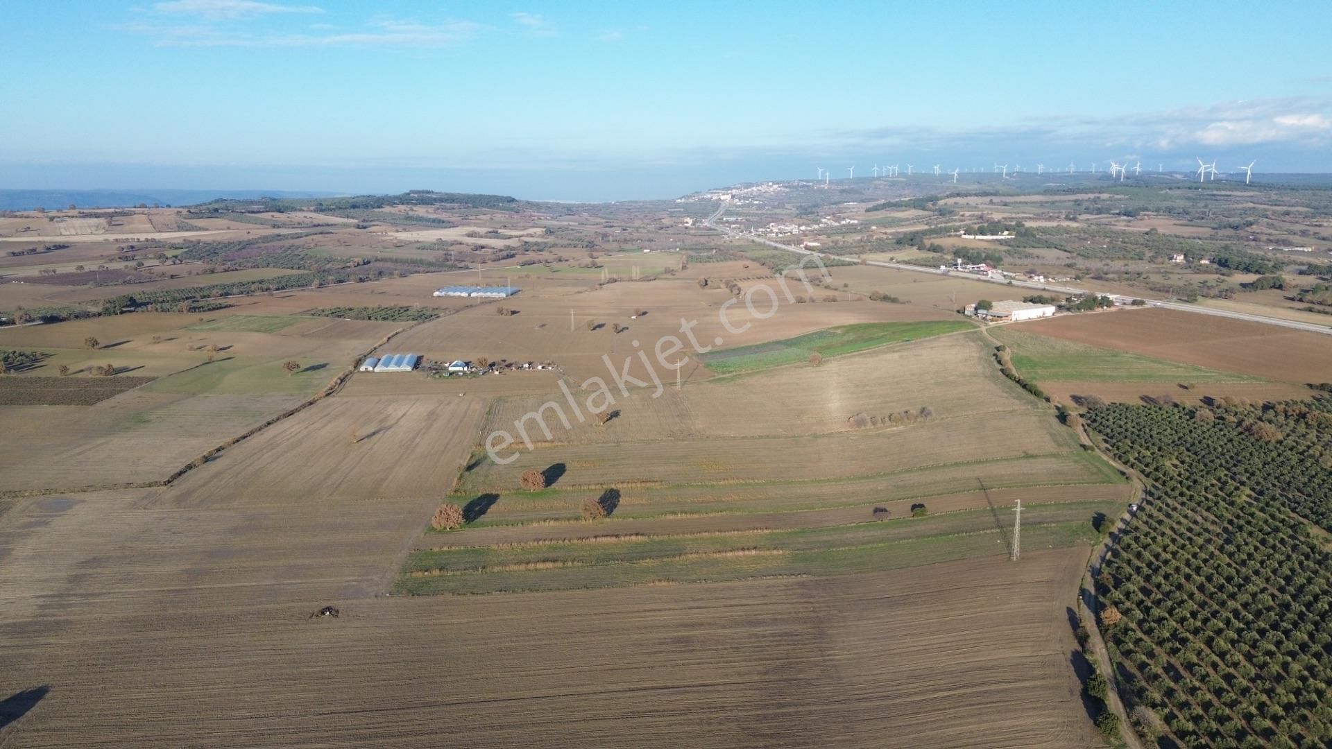 Çanakkale Merkez Halileli Köyünde Yatırımlık Değerli Mevkide 5507 M2 Tarla - Görsel 28
