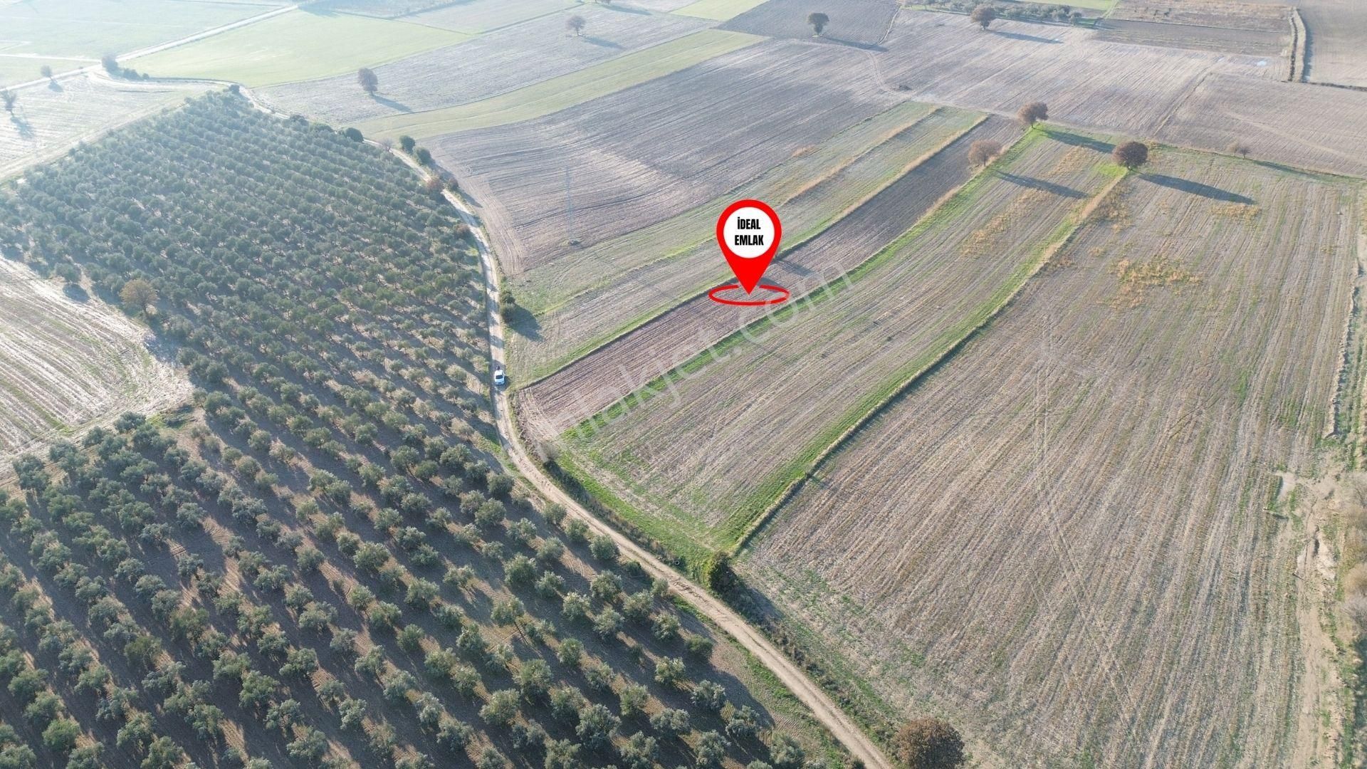 Çanakkale Merkez Halileli Köyünde Yatırımlık Değerli Mevkide 5507 M2 Tarla - Görsel 10