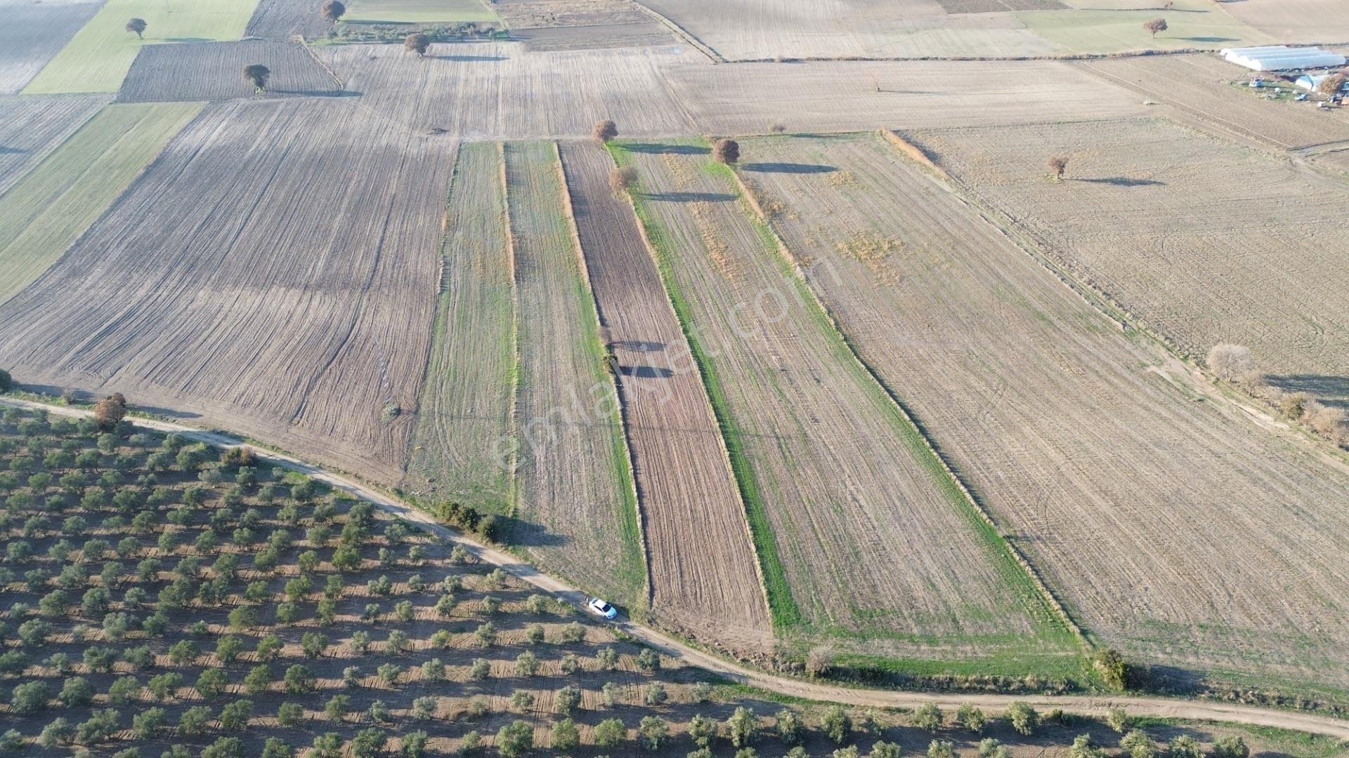 Çanakkale Merkez Halileli Köyünde Yatırımlık Değerli Mevkide 5507 M2 Tarla - Görsel 23