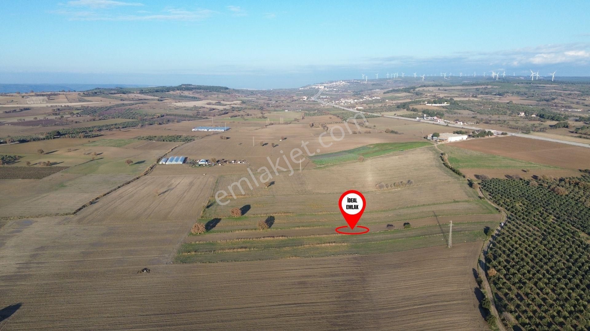 Çanakkale Merkez Halileli Köyünde Yatırımlık Değerli Mevkide 5507 M2 Tarla - Görsel 3