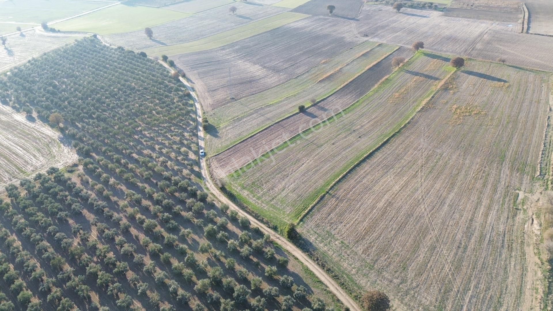 Çanakkale Merkez Halileli Köyünde Yatırımlık Değerli Mevkide 5507 M2 Tarla - Görsel 25