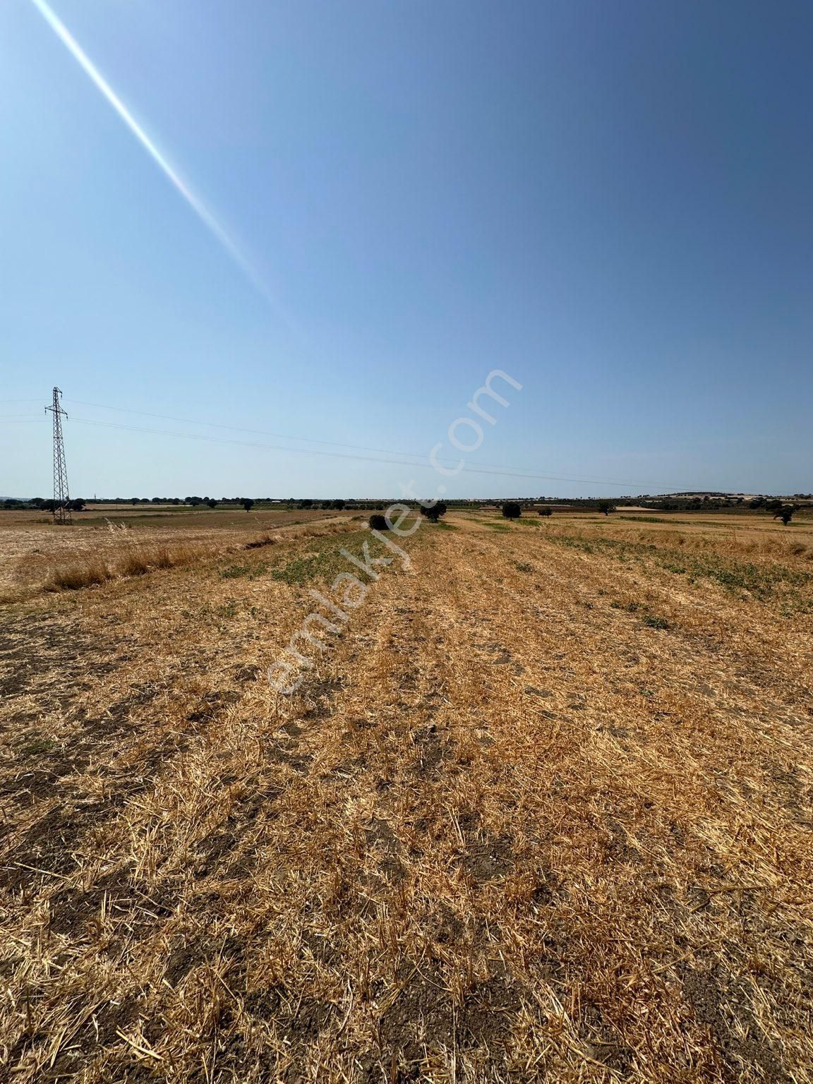 Çanakkale Merkez Halileli Köyünde Yatırımlık Değerli Mevkide 5507 M2 Tarla - Görsel 19