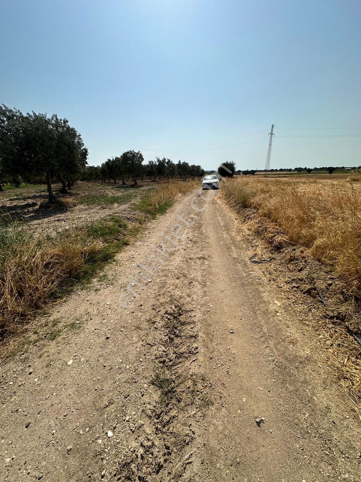 Çanakkale Merkez Halileli Köyünde Yatırımlık Değerli Mevkide 5507 M2 Tarla - Görsel 2