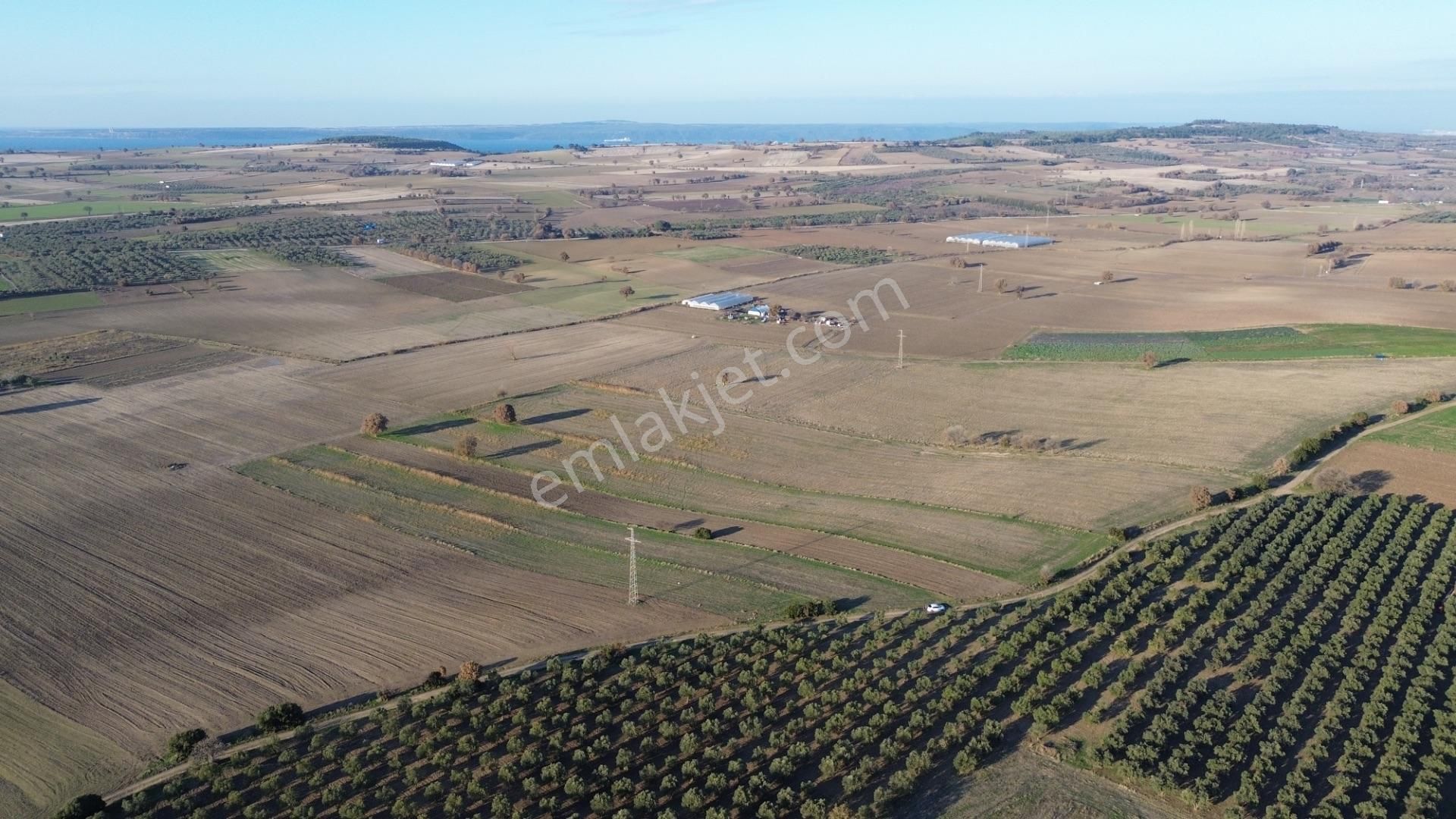 Çanakkale Merkez Halileli Köyünde Yatırımlık Değerli Mevkide 5507 M2 Tarla - Görsel 26