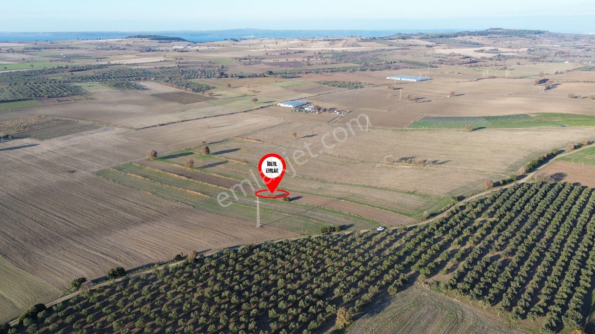 Çanakkale Merkez Halileli Köyünde Yatırımlık Değerli Mevkide 5507 M2 Tarla - Görsel 5